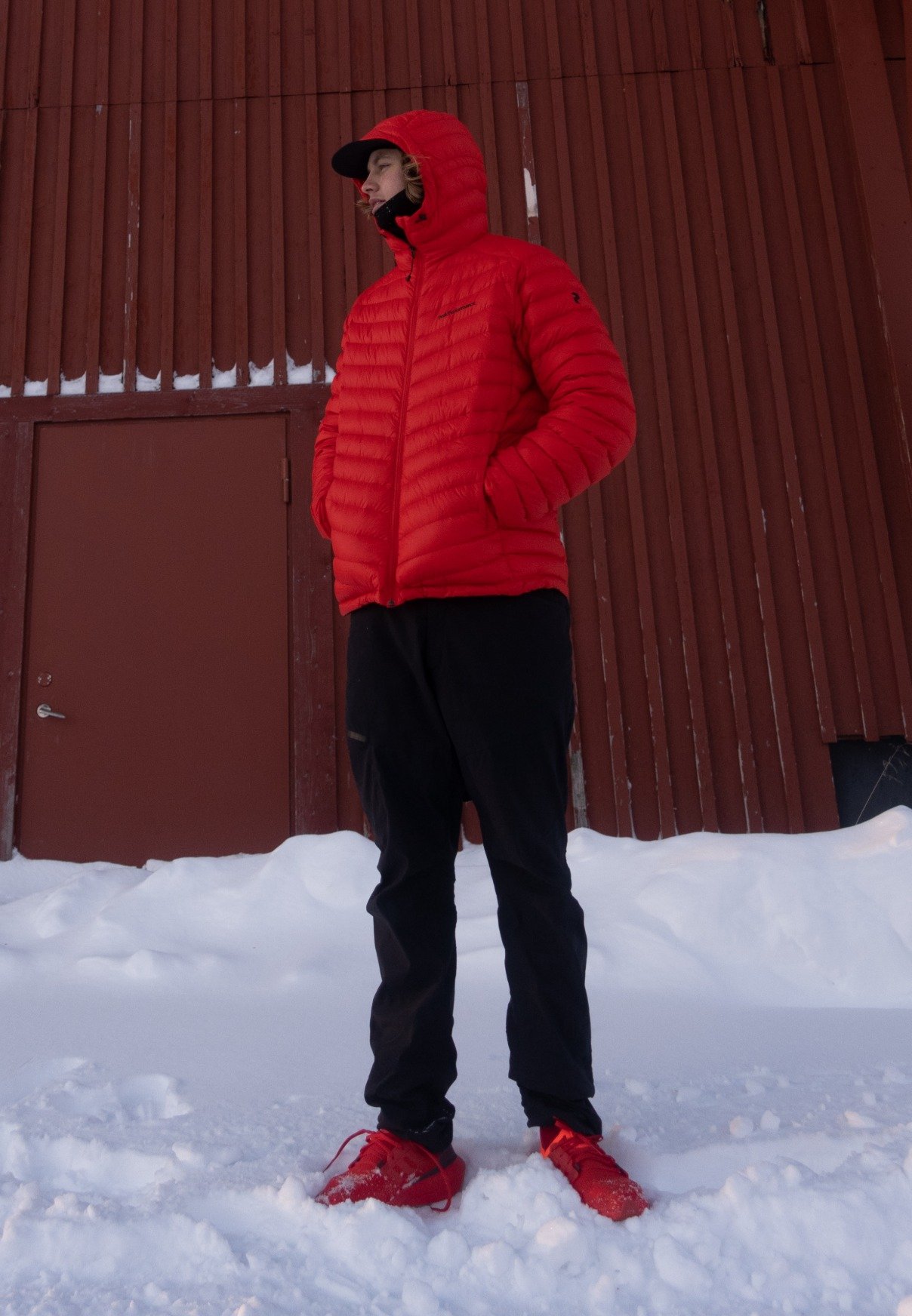 zalando canotte uomo