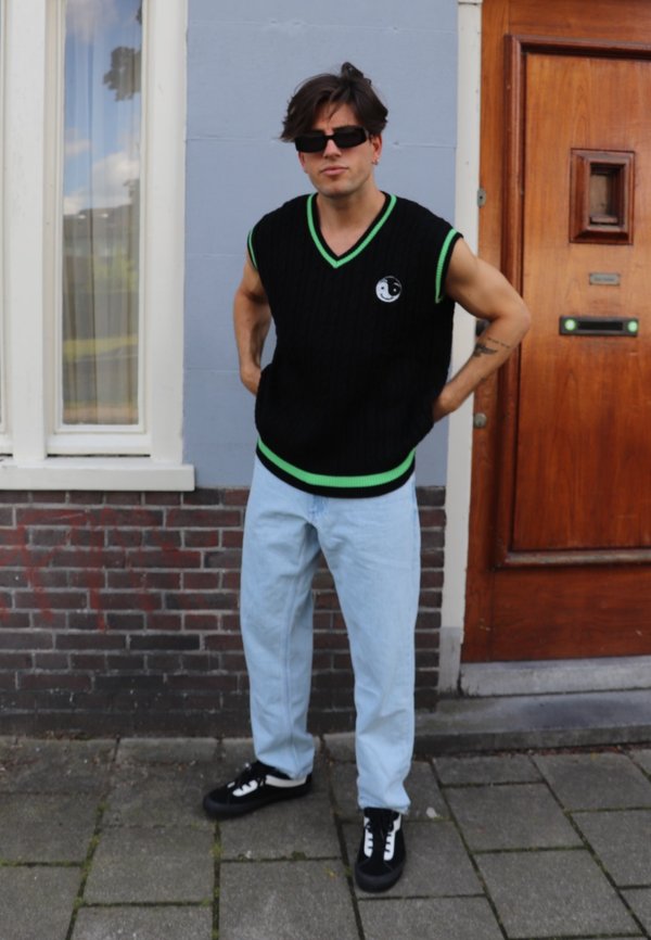 dionvisser