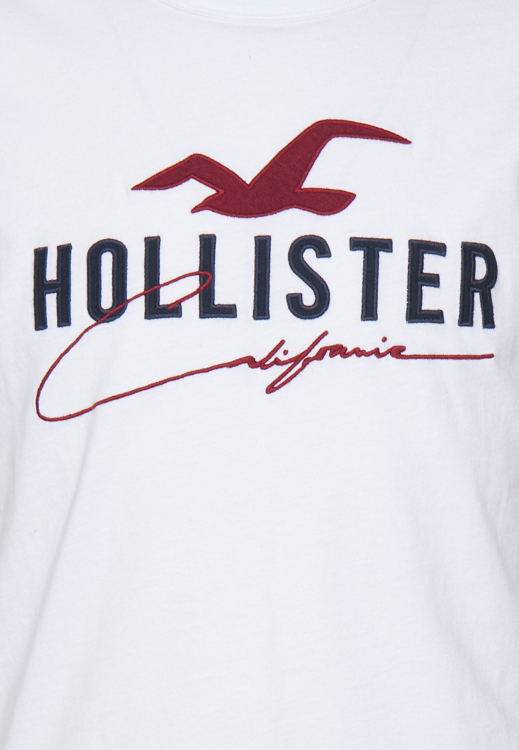 hollister usa