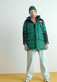 The North Face W LIMBARA INSULATED PARKA - Ziemas mētelis - evergreen