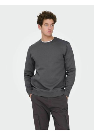 CONNOR LIFE REG CREW NECK NOOS - Sweater - rabbit