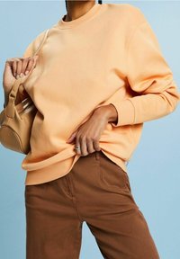 Felpa color pesca chiaro con scollo a girocollo e polsini a costine, abbinata a pantaloni marroni. Una piccola borsa beige è tenuta nella mano sinistra.