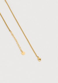 Kuldne kett-kaelakee lamedate linkidega, millel on väike ümmargune logoga silt ja homaarluku kinnis. Sile tekstuur, kerge disain.