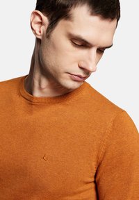 Pomarańczowy, teksturowany sweter ze splotu z okrągłym dekoltem i małym logo na piersi. Zbliżenie na górną część ciała i twarz, patrząc w dół.