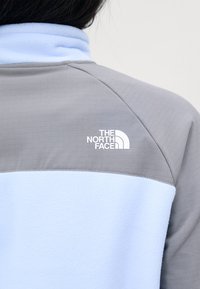 The North Face GLACIER HEAVYWEIGHT 1/2 ZIP - Pulover iz flisa - cornflower/smoked pearl