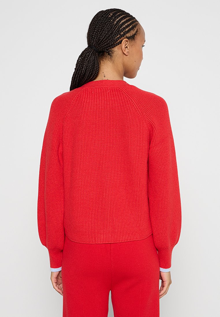 Roter gestrickter Pullover mit gerippter Textur, verkürztem Design, Raglanärmeln und kontrastierenden Bündchendetails. Rückansicht dargestellt.