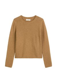 Brown knitted sweater with a round neckline, long sleeves, and a soft, textured finish. Cropped style, minimal design, no visible patterns.