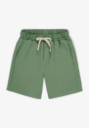 Tracksuit bottoms - green