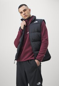 The North Face GLACIER ¼ ZIP - EMBROIDERED LOGO - Flisinis džemperis - alpine plum