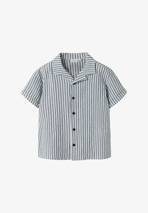 Lühikeste varrukatega nööpidega särk, millel on sinised ja valged vertikaalsed triibud ning mis on valgel taustal, kaelusega.