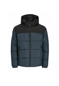 JJMOON HOOD PUFFER - Winter jacket - magical forest