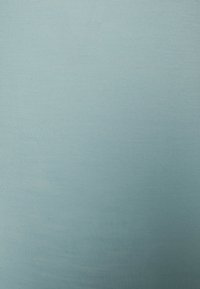 icebreaker SIREN - Camisola interior - LIGHT BLUE