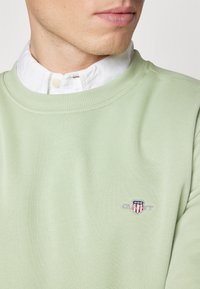 Lichtgroene sweatshirt van katoen, met een geribde halslijn en een klein geborduurd logo op de borst. Een wit overhemd met kraag eronder.