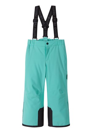 REIMATEC PROXIMA - Pantalon de ski - bright mint