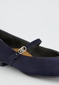 Zapato plano Mary Jane de ante azul marino con una hebilla ovalada dorada y tacón bajo sobre un fondo blanco.