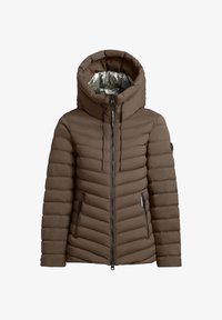 Nije odabrano, dull green