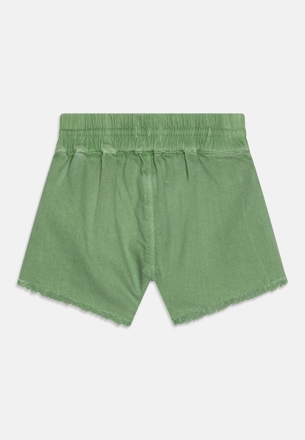 SCENIC ROUTE  - Shorts - basil2