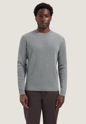 Mann steht, schaut nach vorne, trägt einen hellgrauen Langarmpullover und dunkle Hosen vor einem einfarbigen Hintergrund.