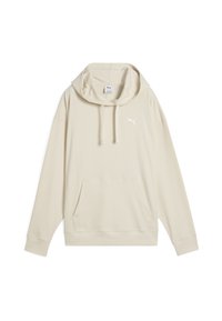 ESS ELEVATED BEQUEMER  - Pulover s kapuco - alpine snow