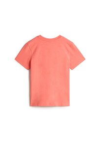 Lyhythihainen T-paita korallinvärisenä, valmistettu puuvillasta. Ominaisuuksia ovat pyöreä pääntie ja sileä rakenne, siistit reunat ja ilman näkyviä kuvioita.