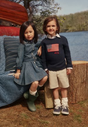 Polo Ralph Lauren THE ICONIC FLAG SWEATER 7-14Y - Πουλόβερ - hunter navy