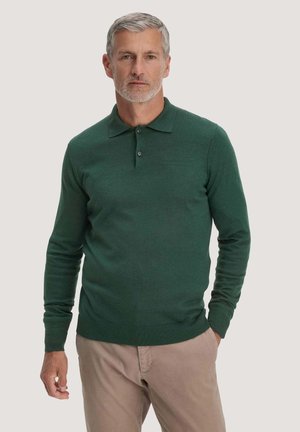 Mann mittleren Alters mit grauen Haaren und Bart, der ein grünes langärmeliges Polohemd und beige Hosen trägt und vor einem hellen Hintergrund steht.