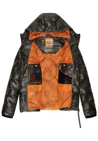 STONE HARBOUR GEROO - Giacca invernale - olive