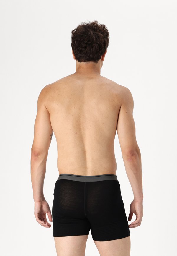 MEN MERINO 150 ANATOMICA BOXERS WFLY - Trunks2