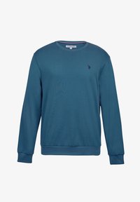 Neselectat, indian teal