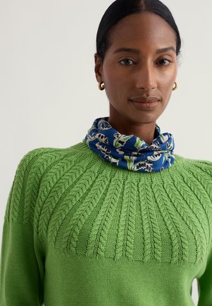 Zaļš adīts džemperis ar faktūru rakstu un apaļu kaklu. Zils šalles modelis, aptītais ap kaklu, attēlo ziedu elementus.