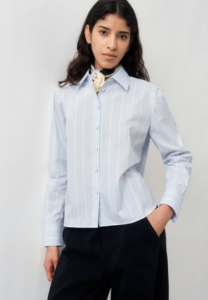 Femeie purtând cămașă bleu deschis cu dungi și nasturi, pantaloni negri și un fular crem cu negru la gât, stând cu o mână în buzunar.