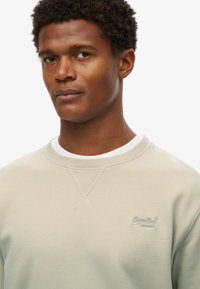 Sudadera verde claro con cuello redondo, puños acanalados y detalles texturizados en las costuras. Presenta un pequeño logotipo bordado en el pecho.