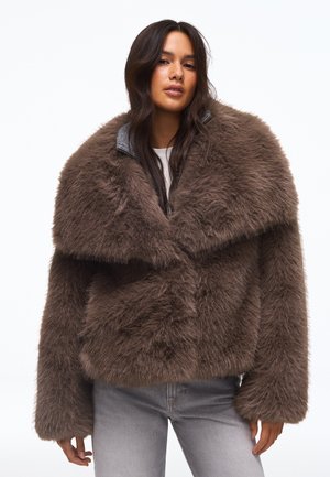 Bershka, WINTER JACKET - Veste d'hiver - brown
