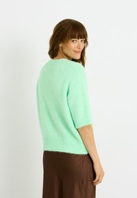 Pull en peluche vert menthe à manches courtes avec un ourlet et un poignet côtelés. Texture douce, coupe décontractée et encolure arrondie.