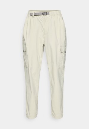 Patagonia EVERYDAY CARGO PANTS - Outdoorbroeken - pelican