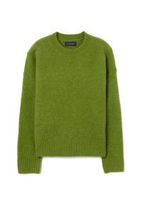 Maglione verde in lana con scollatura rotonda, polsini a costine e orlo a costine. Caratterizzato da una silhouette ampia e una texture morbida per il calore. Etichetta del marchio visibile.