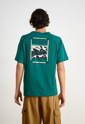 Person mit kurzem dunklem Haar trägt ein türkisfarbenes T-Shirt mit Denali-Berg-Grafik und Schriftzug, kombiniert mit braunen Cargoshorts, steht mit dem Rücken zur Kamera.
