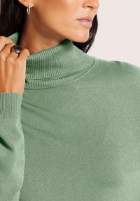 Grüner gerippter Rollkragenpullover mit hohem Kragen und enganliegenden Ärmeln, aus weichem Strickmaterial mit glatter Textur.