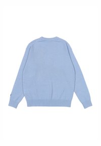 Pullover in maglia azzurro chiaro con maniche lunghe, scollatura tonda e polsini e vita a coste. Tessuto liscio, senza motivi visibili.