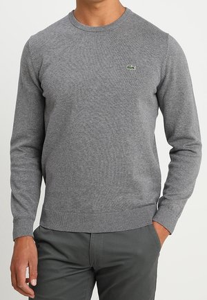 Homme portant un pull gris ajusté à manches longues avec un petit logo de crocodile vert sur la poitrine gauche, assorti à un pantalon gris foncé.