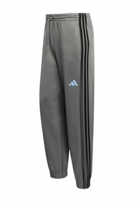 Sivé športové nohavice z hladkej látky s čiernymi bočnými pruhmi, elastickým pásom a svetlomodrým logom na stehne.