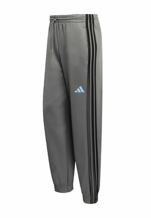 Sive hlače za sport od glatkog materijala s crnim bočnim trakama, elastičnim pojasom i svijetloplavim logotipom na bedrima.