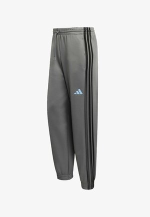 Sive hlače za sport od glatkog materijala s crnim bočnim trakama, elastičnim pojasom i svijetloplavim logotipom na bedrima.