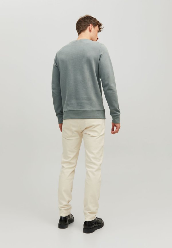 UNISEX - Sweatshirt - sedona sage2