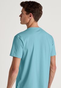 Tijgerblauwe T-shirt met korte mouwen. Zacht katoenen materiaal, ronde hals, rechte snit, met zijsplitjes. Gladde textuur, effen kleur, geen patronen.