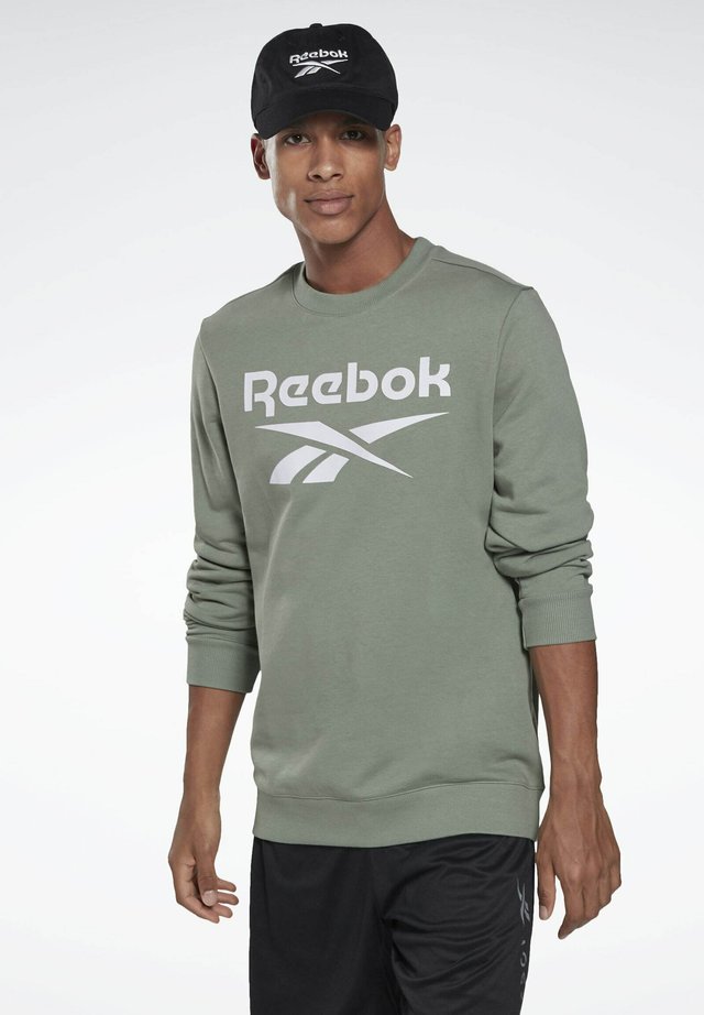 VECTOR BIG LOGO GRAPHIC SWEATSHIRT - Sweatshirt - green