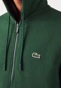 Gros plan sur une personne portant un sweat à capuche vert zippé avec un logo de crocodile sur la poitrine et des cordons suspendus à l'avant.