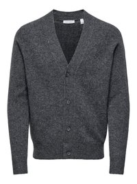 RAY KNOPFVERSCHLUSS - Cardigan - grau