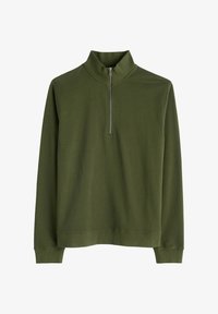 Seleccionado, green hosta