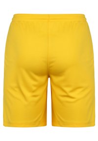 Shorts de sport jaunes en tissu lisse et léger. Dotés d'une taille élastique et sans motifs ni accents supplémentaires.